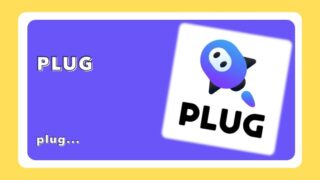 PLUG