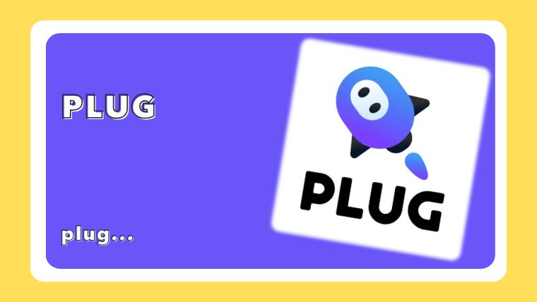 PLUG
